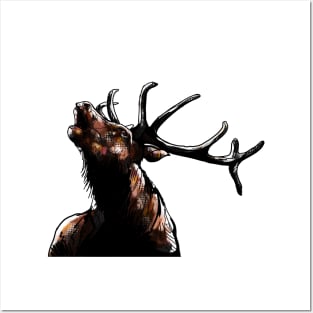 Stag Deer Posters and Art